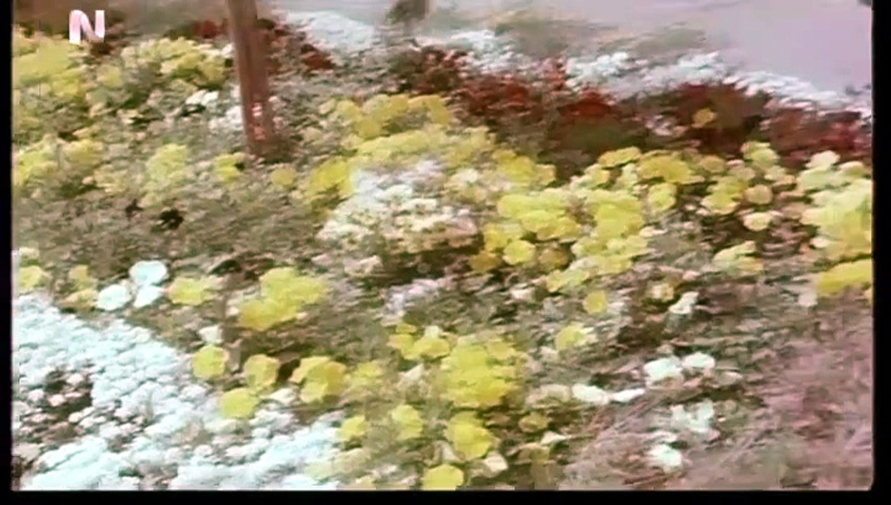 Το χαμόγελο της Πυθίας (1979)