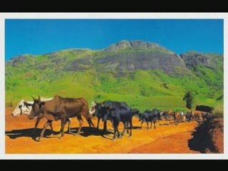 Nosy­­­–Malalako–Madagasikara