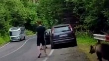 Concentré sur son téléphone, ce touriste ne voit pas l’ours surgir juste derrière lui