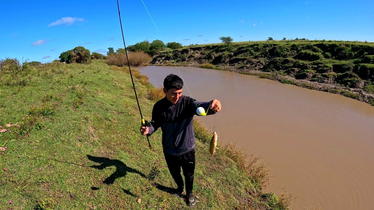 PESCA de BAGRES en ARROYO, pescar y cocinar, pe...