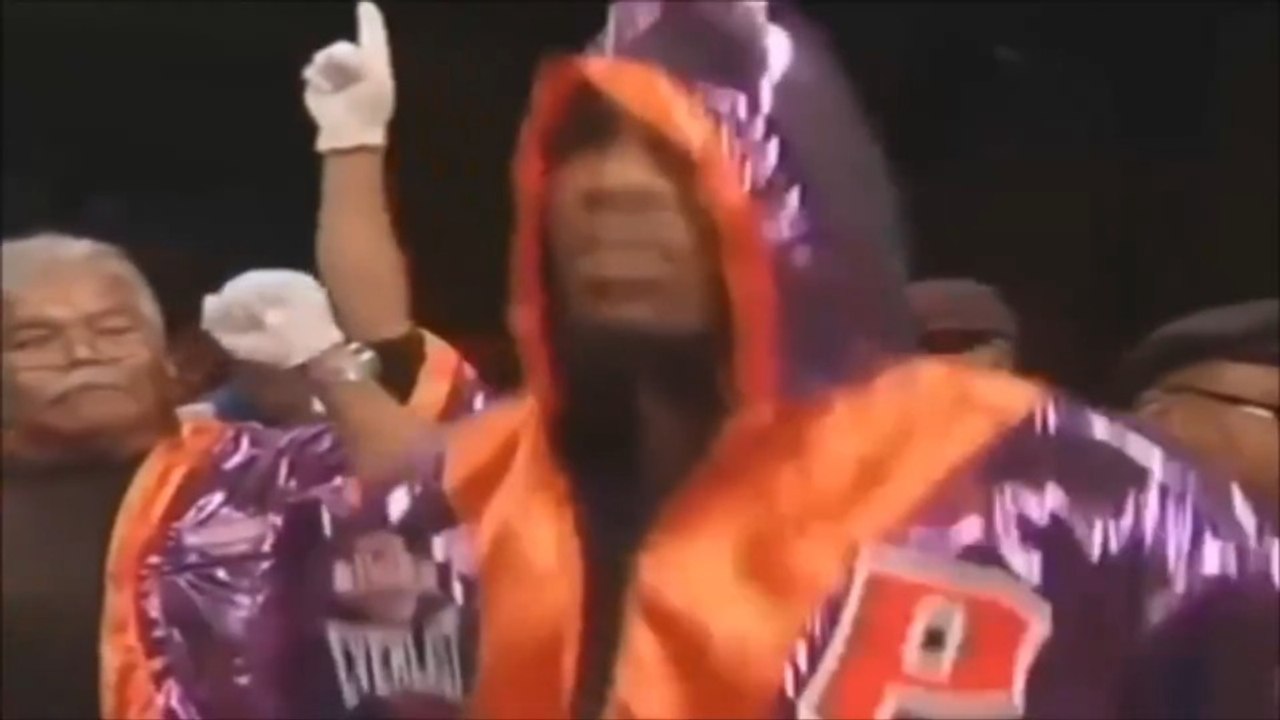 Paul Williams - Highlights & Knockouts (haNZAgod)