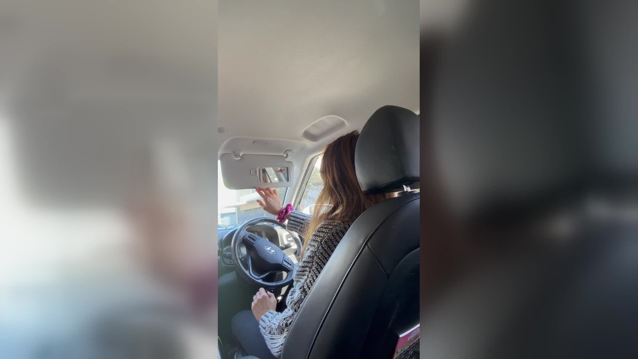 Huge Spider Hides in Car Sun Visor Sparking Panic