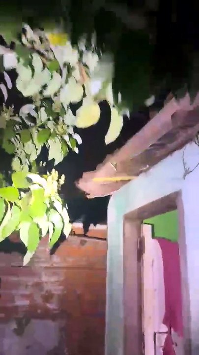 Suspeito de roubo a pet shop é detido com drogas e mineração ilegal de criptomoedas