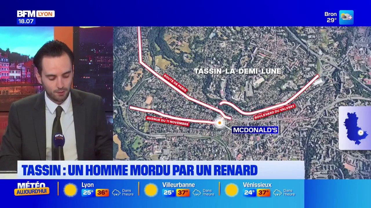 Tassin la demi Lune : un individu mordu par un...