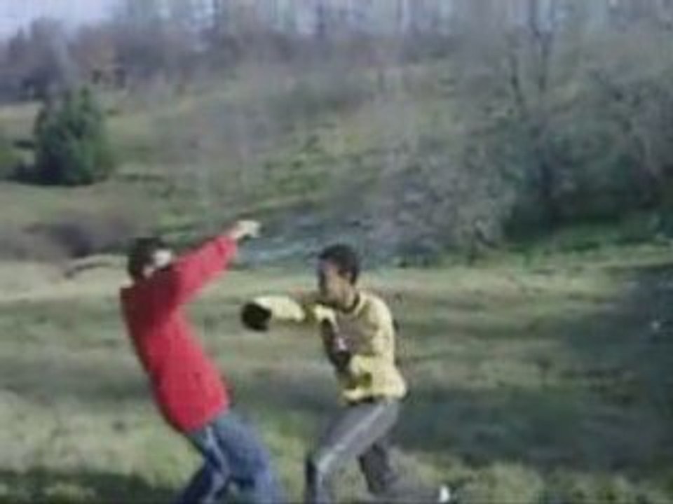 Dragon ball