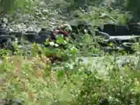 Crots 12.07.08, GRC rrz, BMS (1)