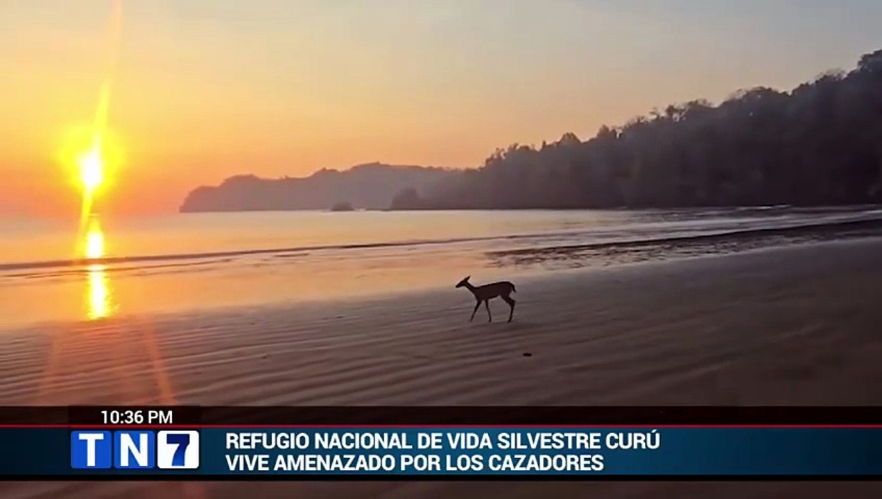 refugio [Full Movie]