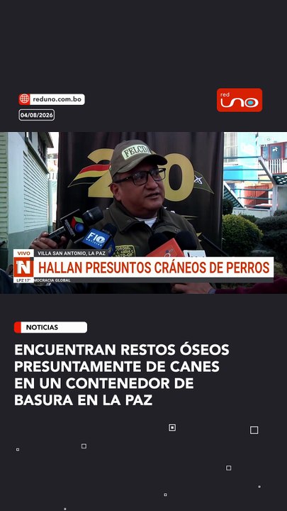 Encuentran restos óseos presuntamente de canes en un contenedor de basura en La Paz
