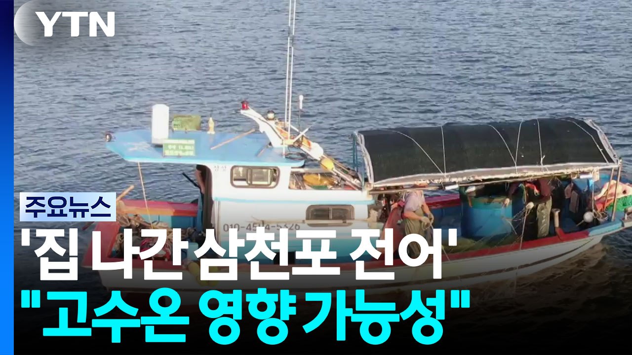 '집 나간 삼천포 전어'..."고수온 영향 가능성" / YTN