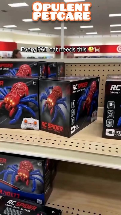 Wall-Climbing Spider Cat Toy – Remote Control R...