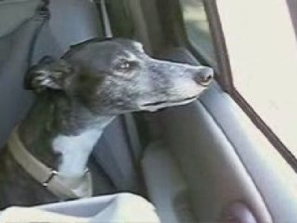Nell Takes a Ride