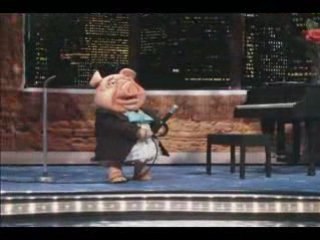 "Life's a Zoo" Titties Song