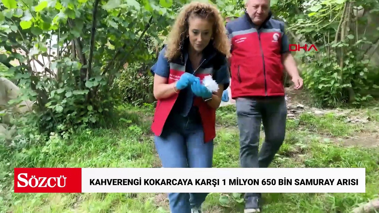 Bakan Yumaklı: Kahverengi kokarcaya karşı 1 milyon 650 bin samuray arısı