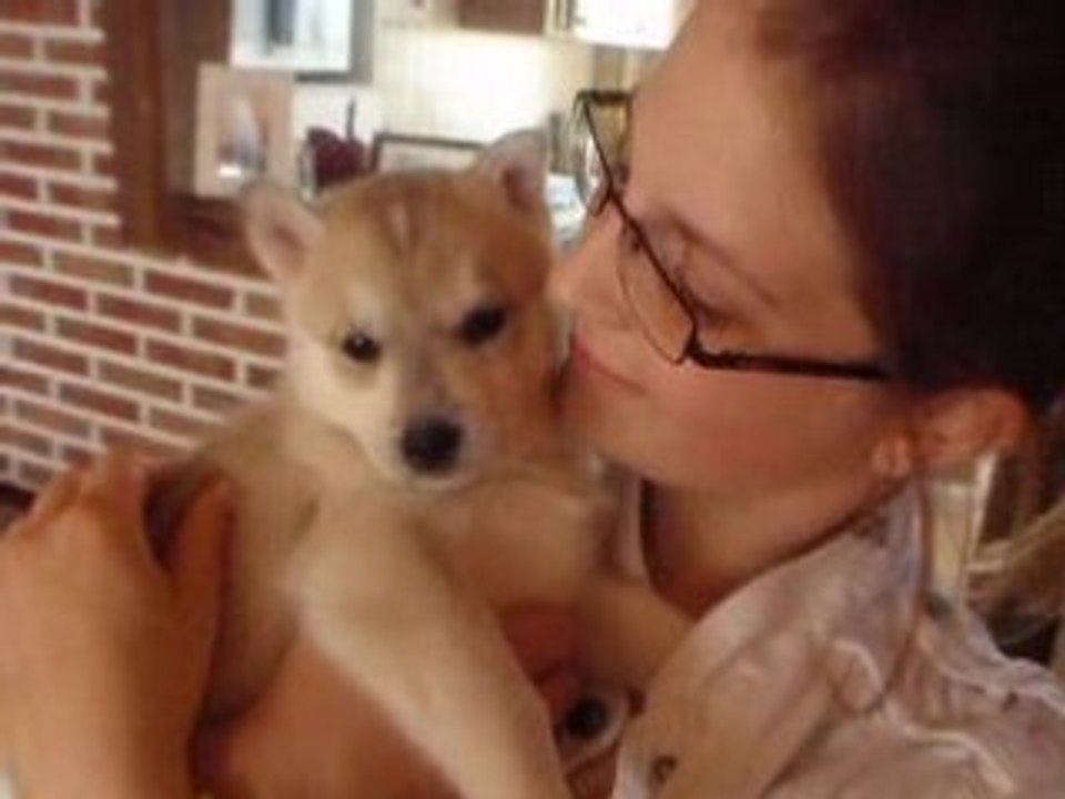 Photo du  nouvel appareil photo 405