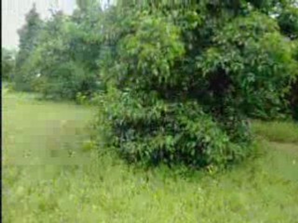 Ter1 4x4 1_0001