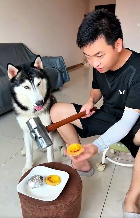 most funny video 😂🤣