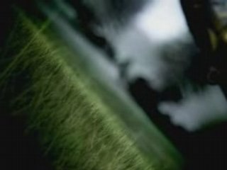 Operation Flashpoint 2: Dragon Rising