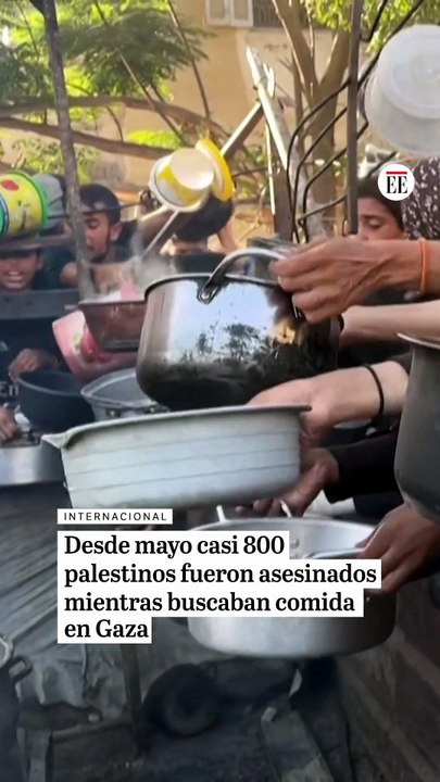 Desde mayo casi 800 palestinos fueron asesinados mientras buscaban comida en Gaza