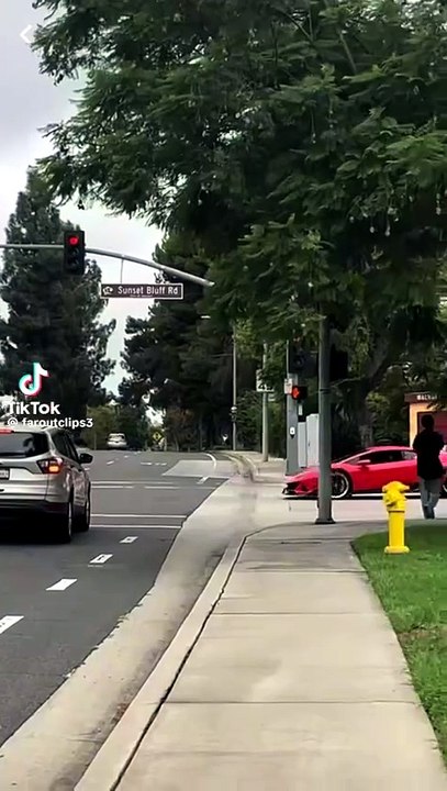 1000038133