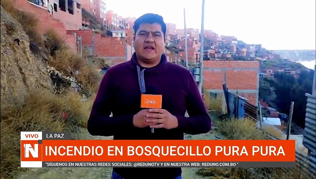 INCENDIO ES BOSQUECILLO PURA PURA