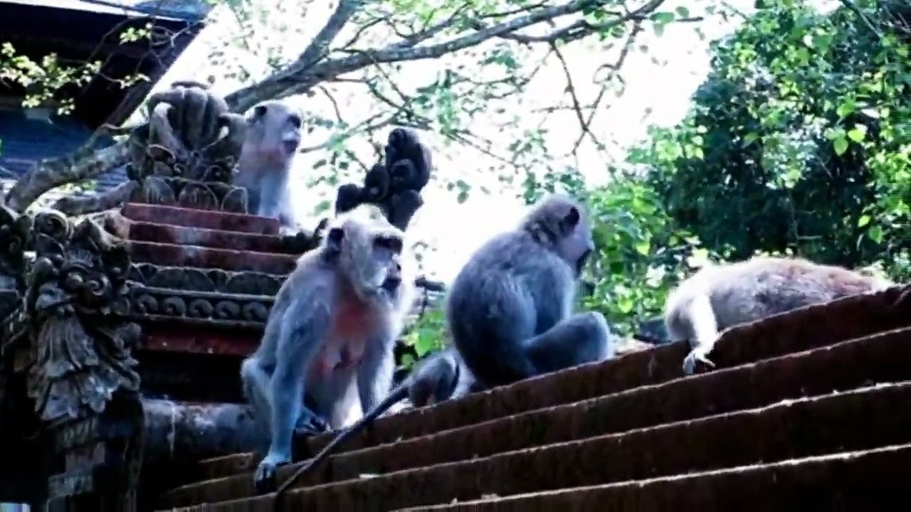 BEST PLACES TO VISIT IN BALI, INDONESIA