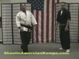 INSIDE Shaolin Kempo Karate Combinations/dm's - Jim Brassard