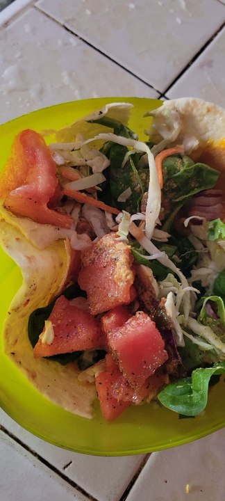 Vegan Turkey Watermelon Burrito