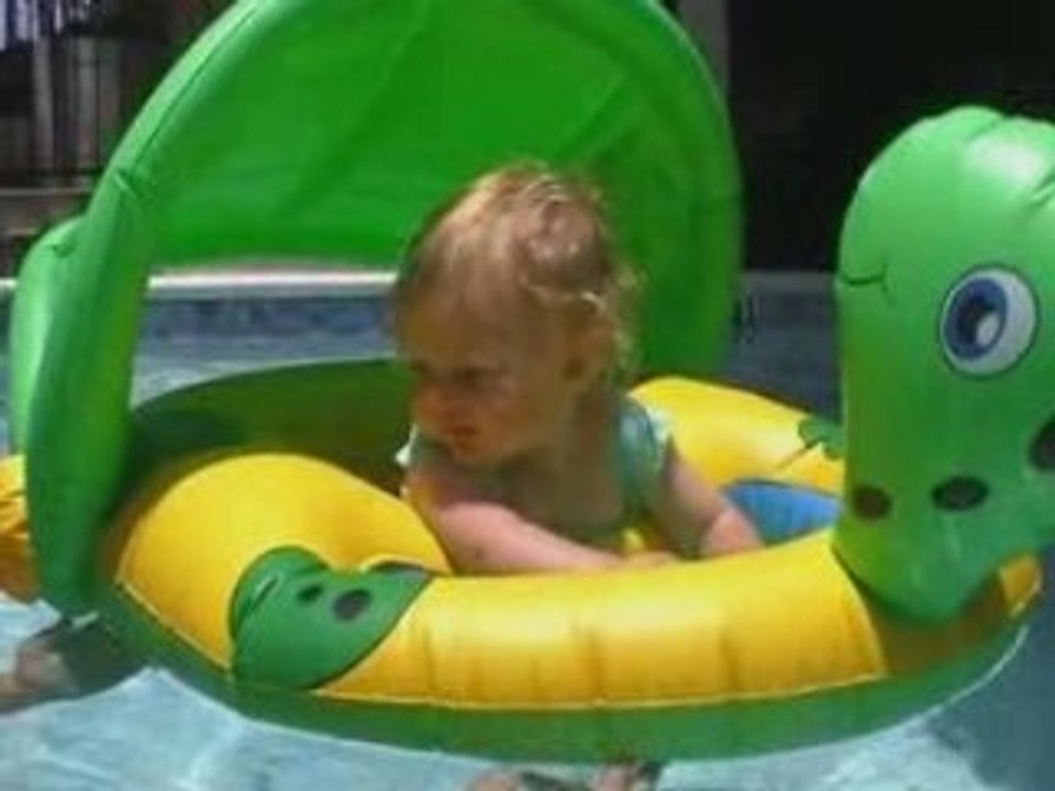 Dans ma tortue