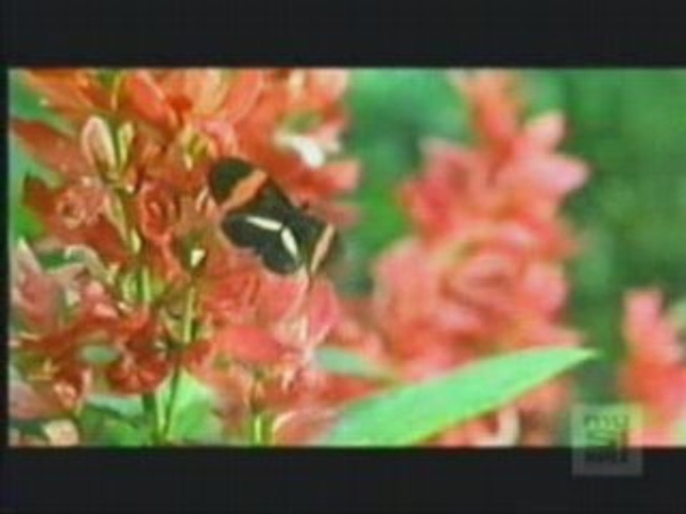 MARIE ELAINE THIBERT - Le ciel est a moi