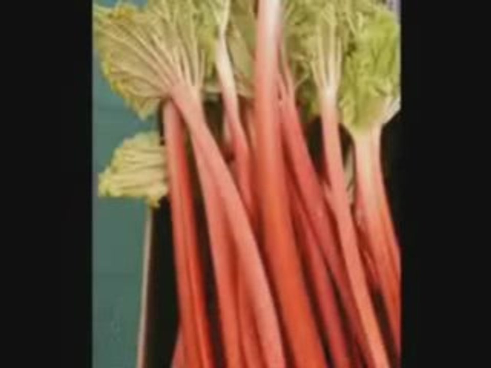 PORTAL - The cake is NOT a lie