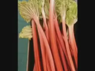 PORTAL - The cake is NOT a lie