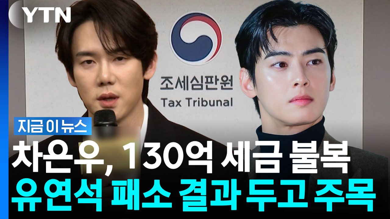'1인 기획사' 유연석, 30억대 세금 불복 패소…차은우도 촉각 [지금이뉴스] / YTN