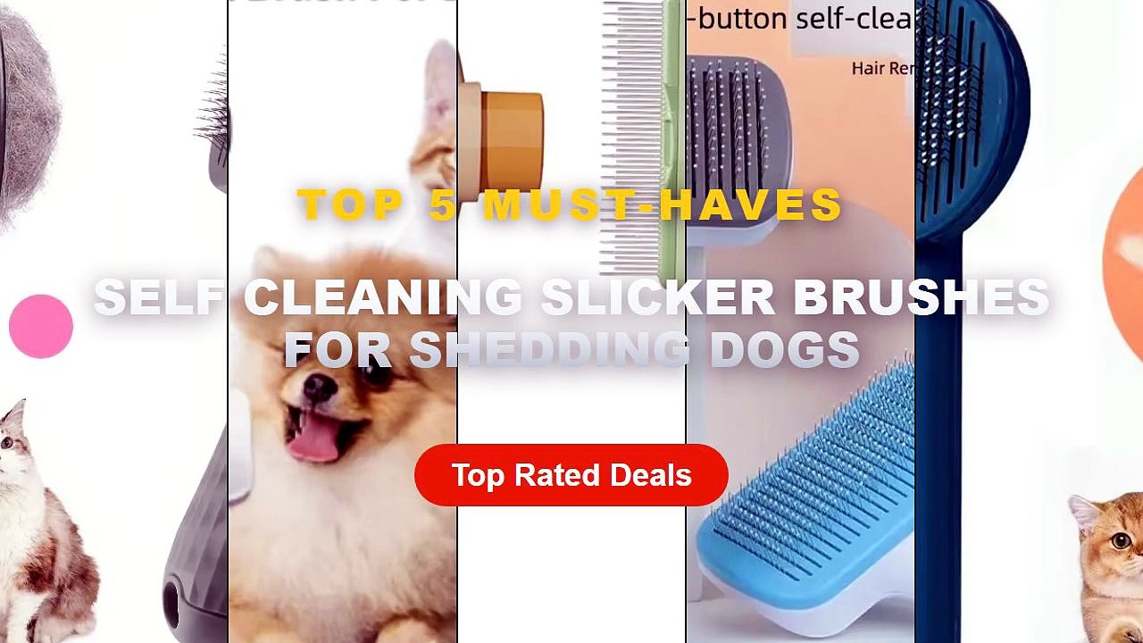 Cheap & Best Self Cleaning Slicker Brushes For...