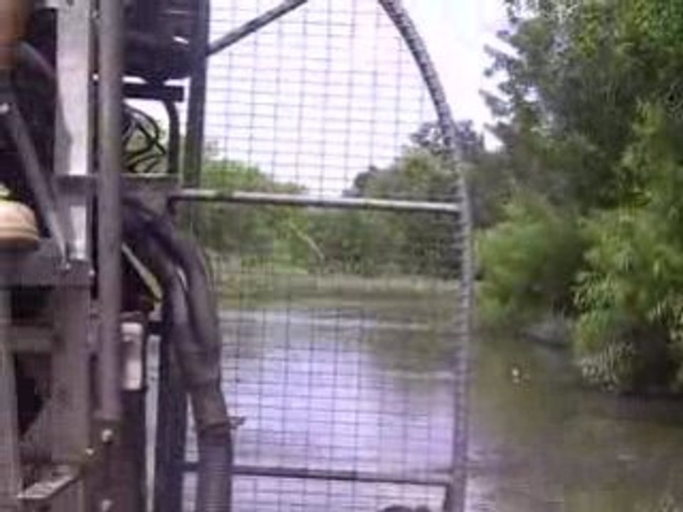 airboat