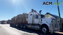 2026 Aussie Hay Runners’ Drought Relief Run to Tingha