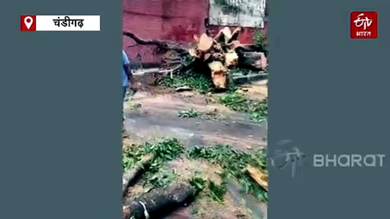 हरियाणा में मानसून ने बढ़ाई चुनौती, आज फिर होगी जमकर बारिश, कई शहर हुआ पानी-पानी, यमुना का जलस्तर बढ़ा, हथिनीकुंड बैराज से छोड़ा गया पानी