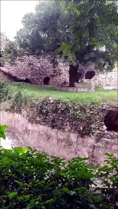 The Lion | Geological Garden/ Nawab Wajid Ali Shah