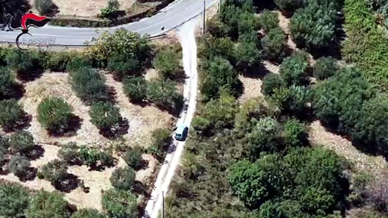 Incendio boschivo doloso a Morano Calabro, cinquantaseienne arrestato in flagranza VIDEO