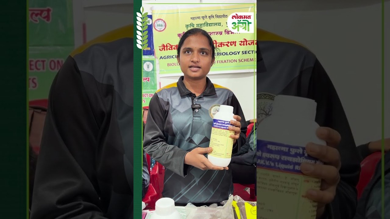 Rhizobium : चवळी, हरभरा, घेवडा, मूग! कडधान्यांसाठी वापरा रायझोबीयम हे जैविक खत!