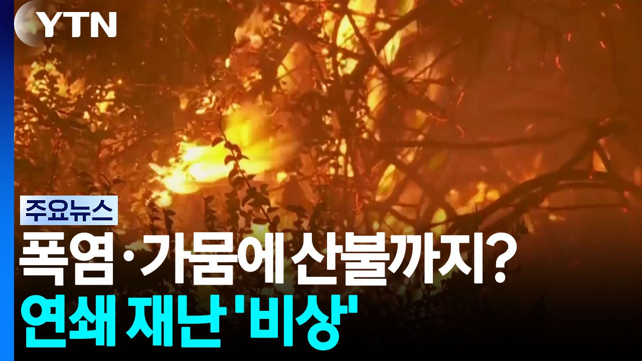 폭염·가뭄에 산불 위험 '역대 2위'...'연쇄 재난' 비상 / YTN
