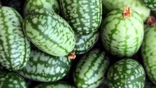 Cucamelon Mouse Melon
