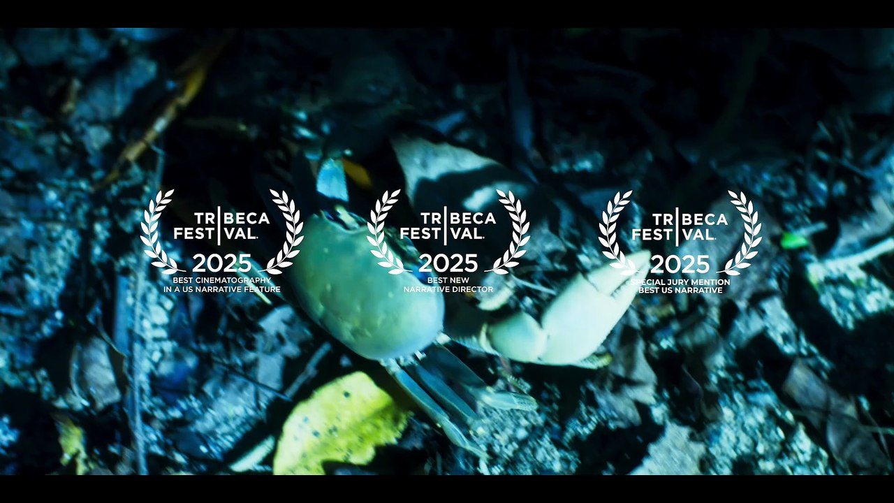 Esta Isla Movie
