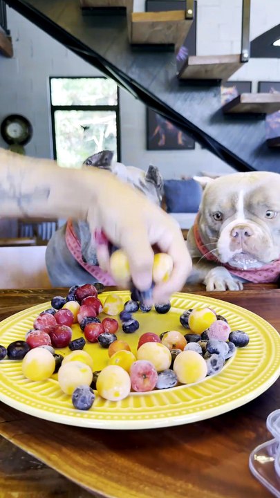 Picolé de Mirtilo , Acerola e Fisalis 🤩🐾 Vamos refrescar neste calor 🐾