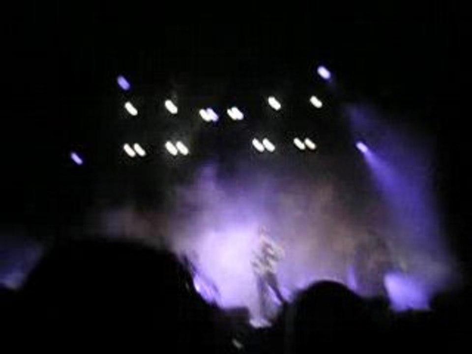 Babyshambles Déferlantes 2008