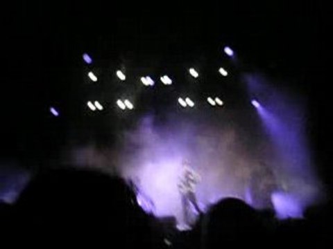 Babyshambles Déferlantes 2008