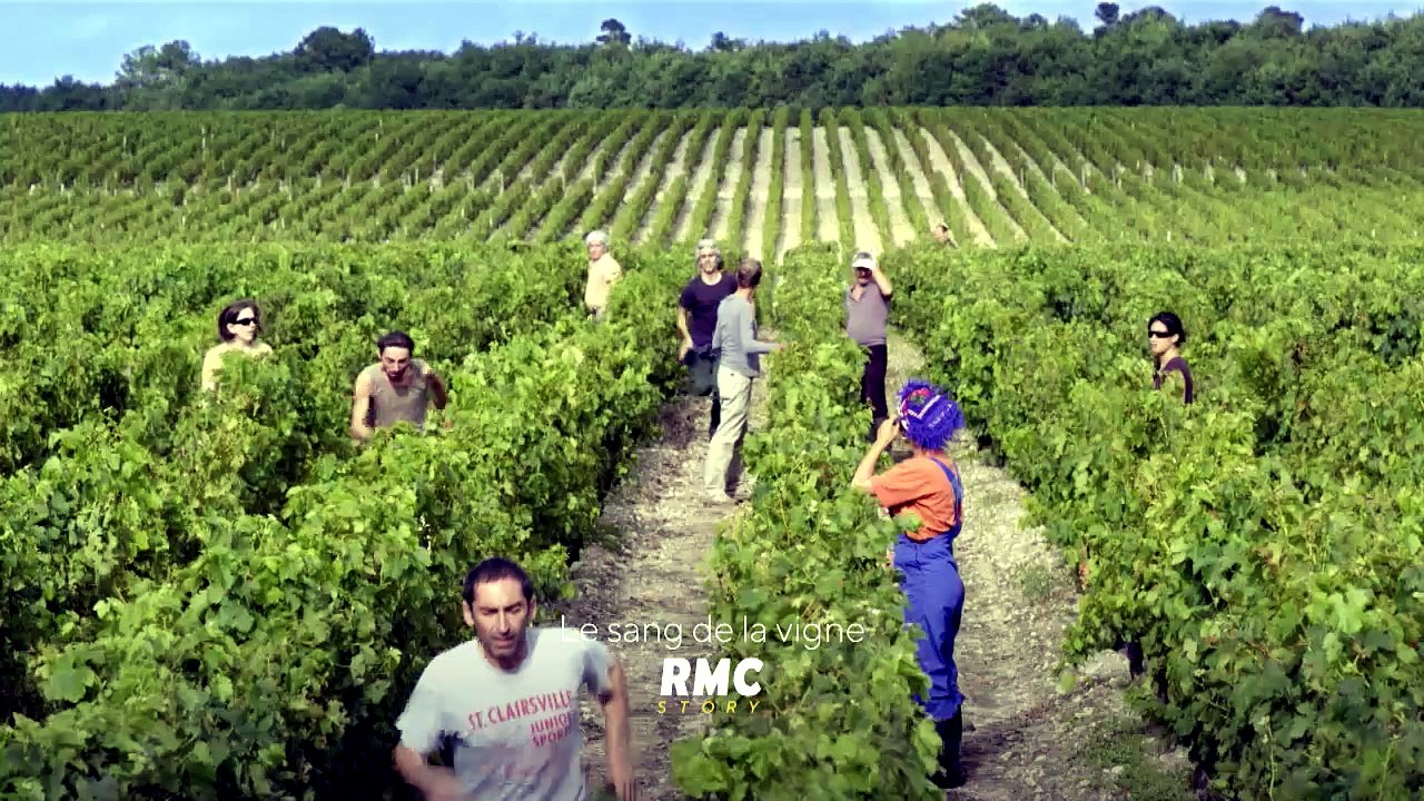 Le sang de la vigne