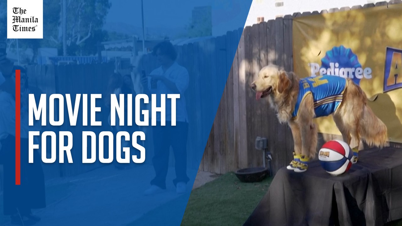 'Air Bud screening gives dogs front-row seats