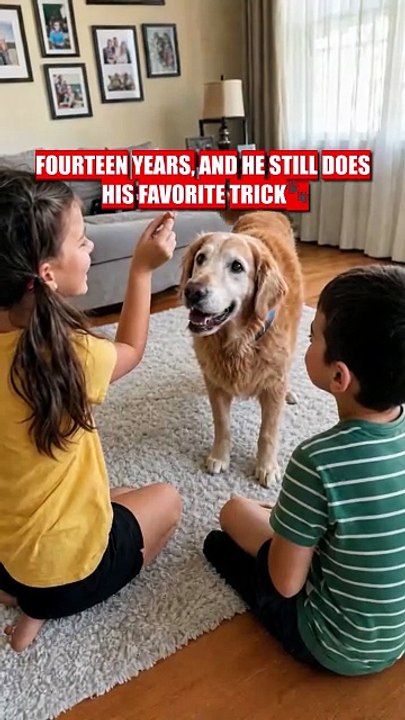 He's 14... But He Still Knows the Trick 🥹🐶