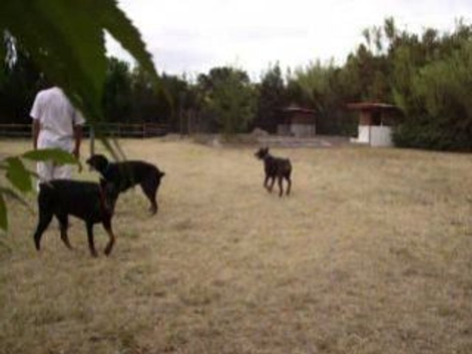 Vacance de titi caly alter et sam