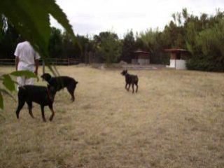 Vacance de titi caly alter et sam